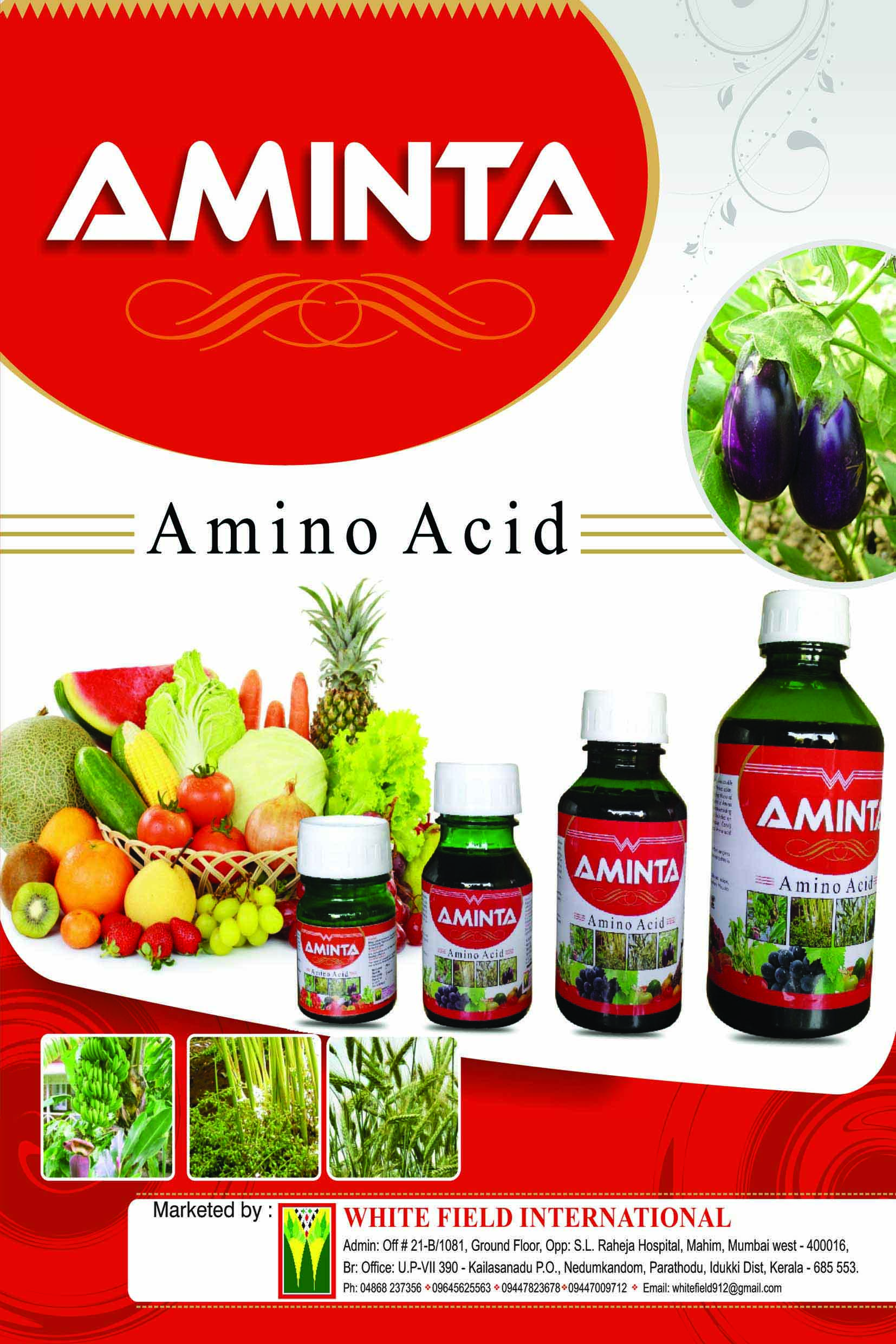 WhitefieldInternational