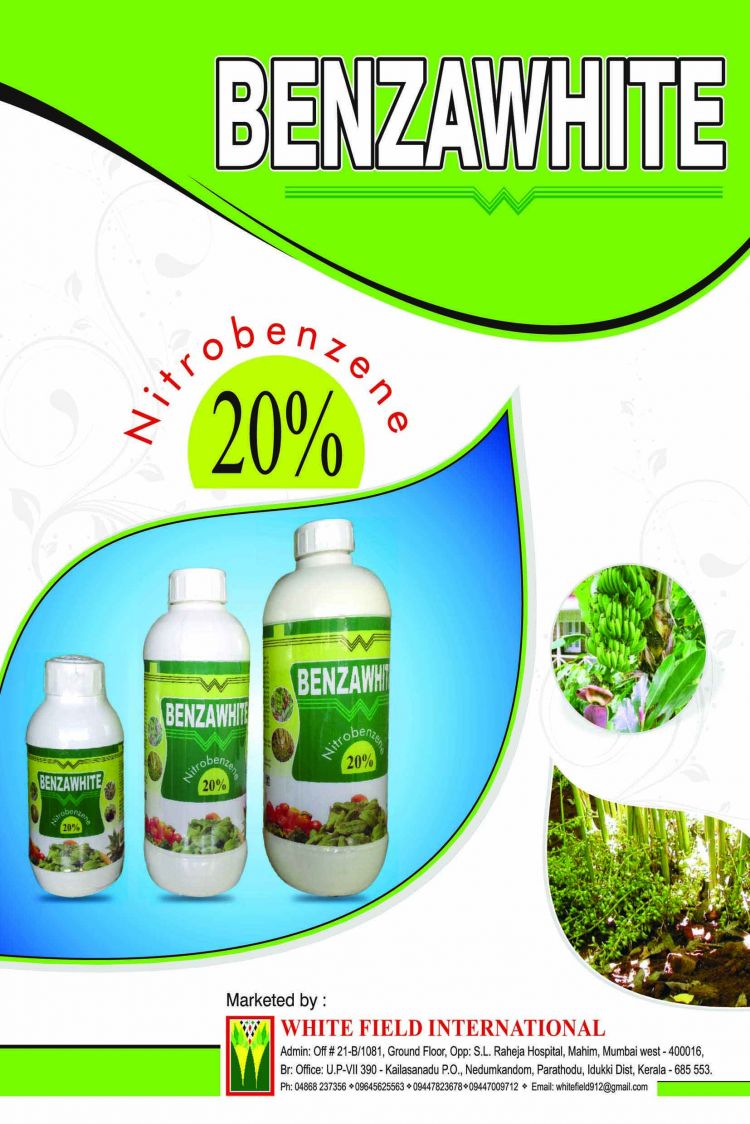 WhitefieldInternational