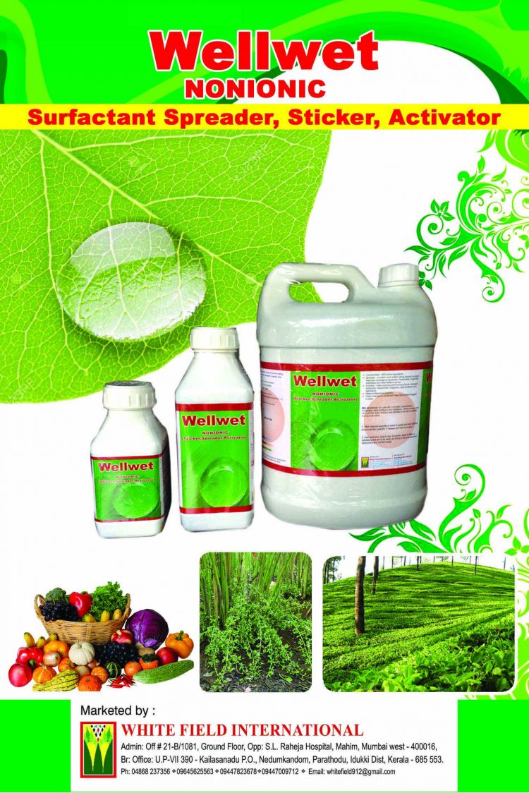 WhitefieldInternational