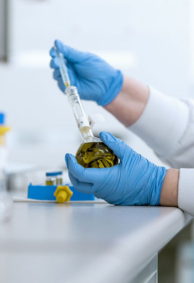 WhitefieldInternational