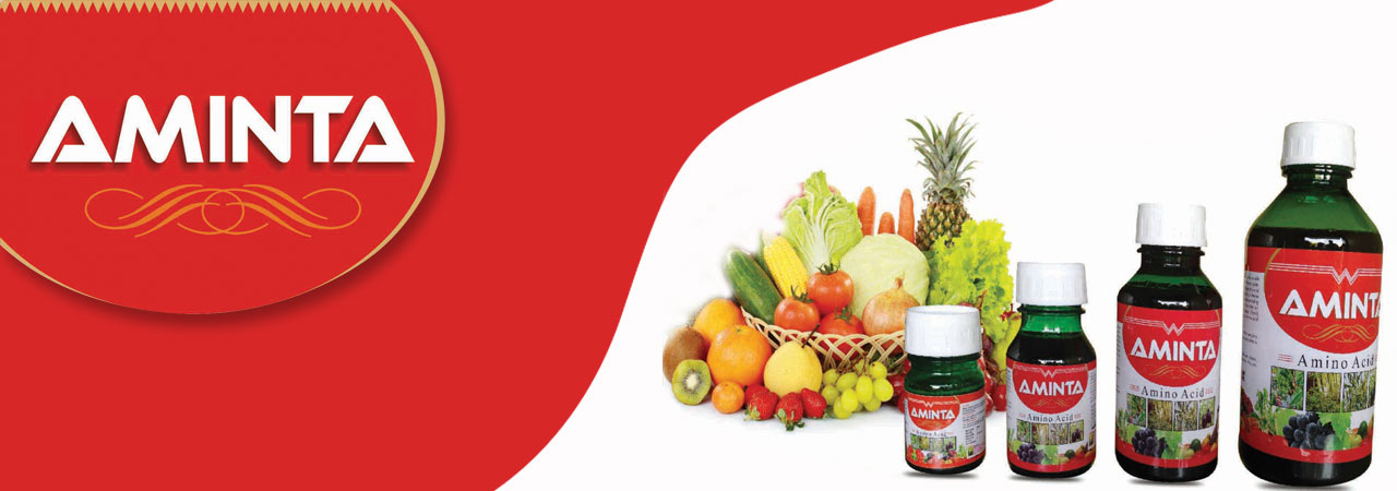 WhitefieldInternational