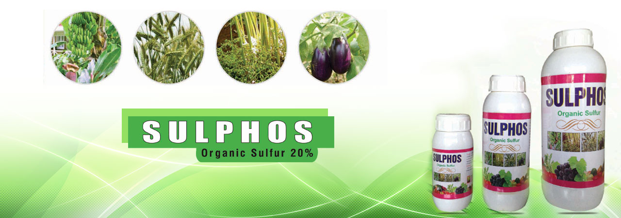 WhitefieldInternational